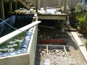 2008 Backgarden - photo 40 of 55