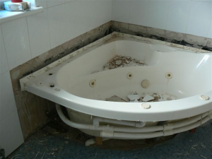 2008 Bathroom - photo 5 of 87