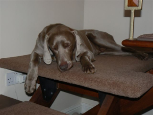 2008 Plastering - photo 43 of 43