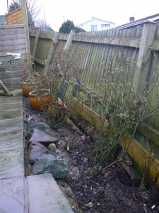 2016 Backwall - photo 2 of 43