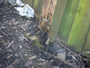 2016 Backwall - photo 10 of 43