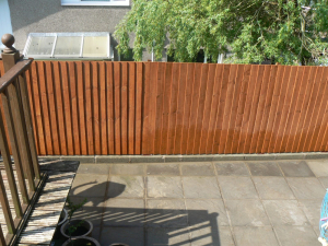 2016 Backwall - photo 43 of 43
